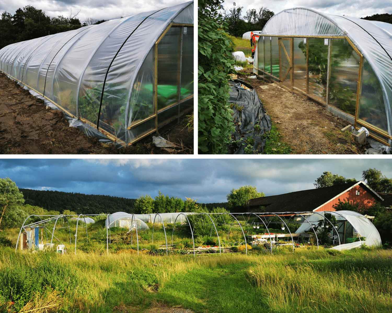 Photo collage showcasing professional greenhouse repair services by our skilled team