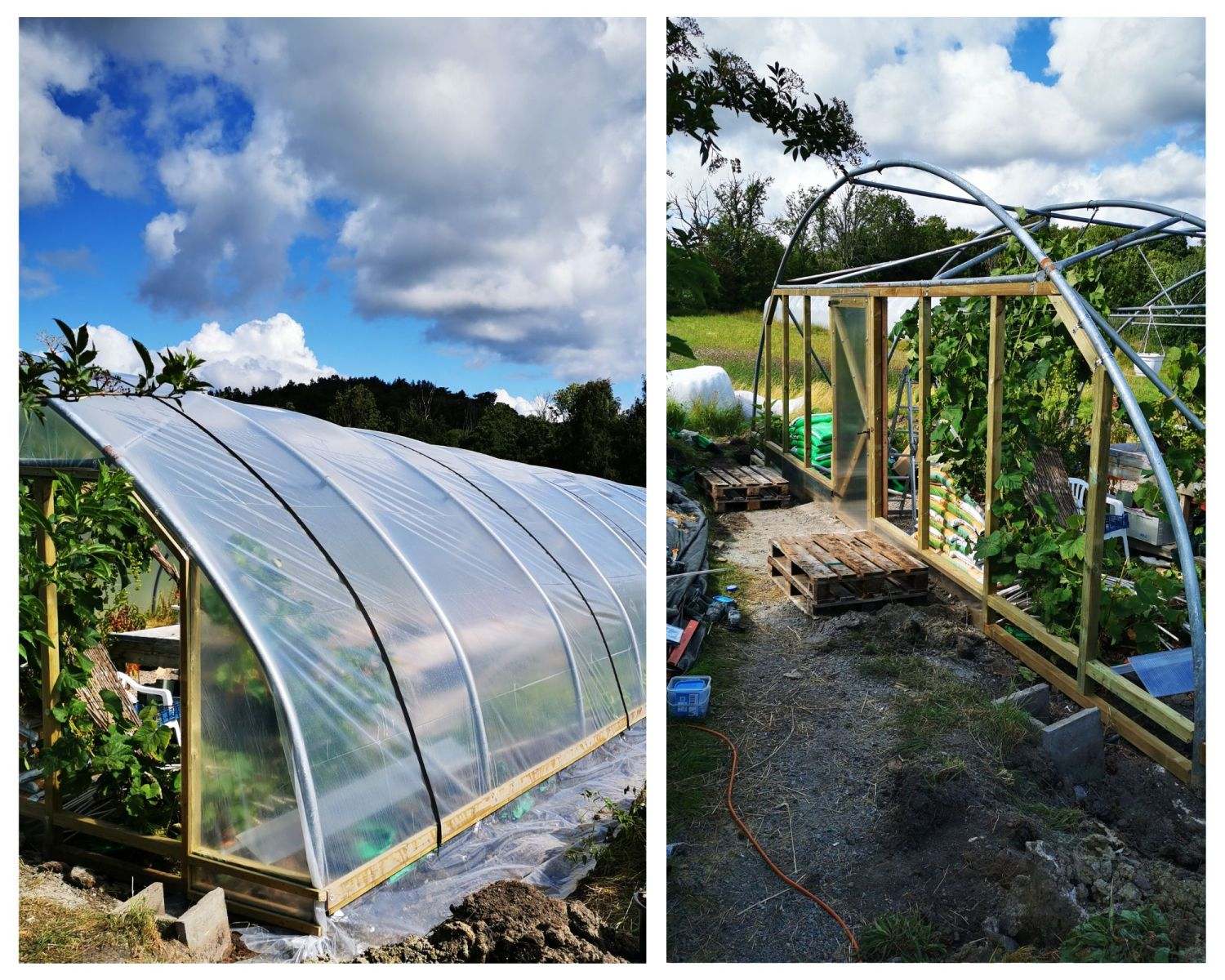 Side-by-side images depicting the process and results of our greenhouse repair service