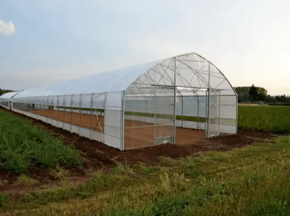 Greenhouse Easyart exterior showcasing its versatility