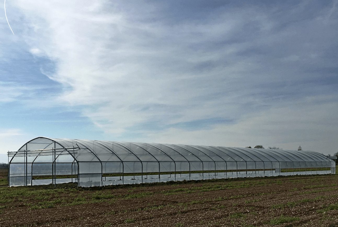 Exterior view of greenhouse Easyart