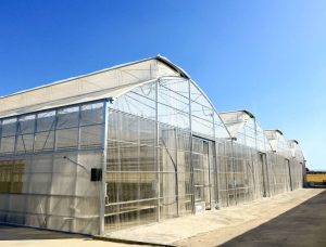 Greenhouse Multiart exterior showcasing its versatility