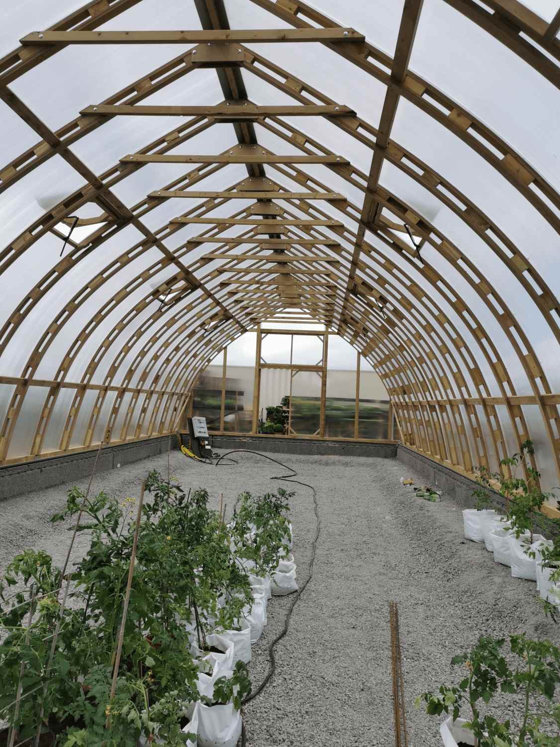 Plants thriving inside Greenhouse TREE 700