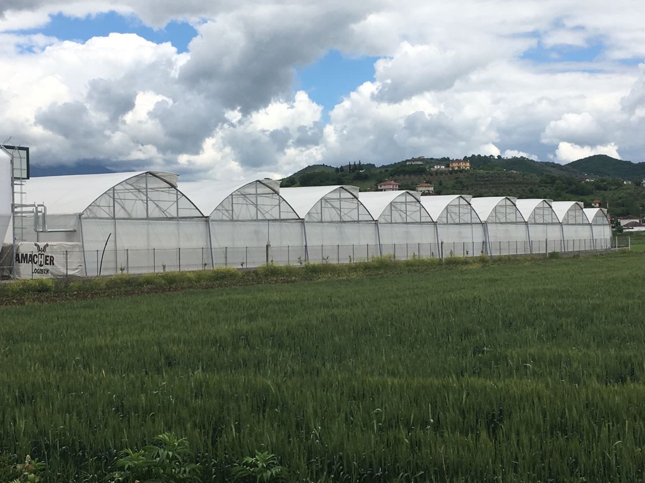 A vast industrial greenhouse complex showcasing successful project implementation